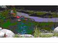 EWeiss GoldFishPond 04 05 2014