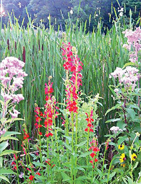 Welcome to my collection of Poetry books